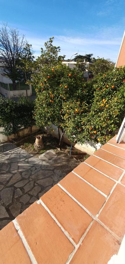 Appartement Entier Au Dessus De Villa, Climatisation Reversible Poele A Bois Tres Chaleureux , Wi Fi Parking Privee Gratuit Situation 500 M, Plage Et Centre Ville Sanary-sur-Mer Kültér fotó
